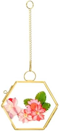 Mini Glass Floating Frame for Dried Flowers Gold Metal Wall Hanging Frame