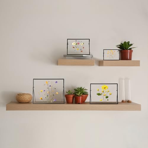 Handmade Brass Glass Frame for Dried Flowers and Photos