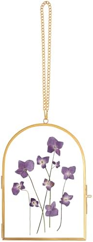 Redhugo Glass Pressed Flower Frame Wall Hanging