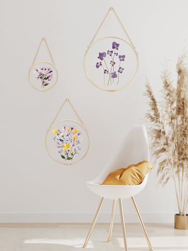 Handcrafted Brass Glass Frame for Pressed Flowers