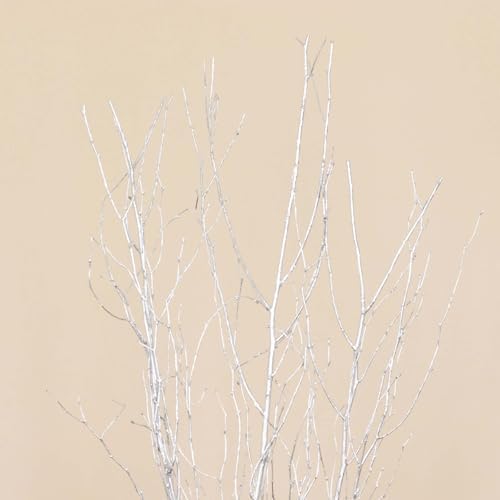 Efavormart 6 Pack Metallic Silver Birch Tree Vase Fillers