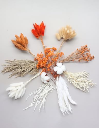 DIY Orange Dried Flower Set for Wreaths and Decor