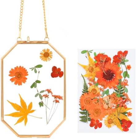 Hanging Pressed Flower Frame with Gold Brass Frame and Orange Dried Flowers