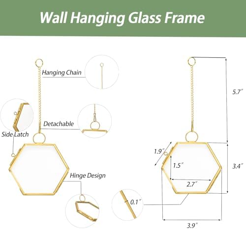 Mini Glass Floating Frame for Dried Flowers Gold Metal Wall Hanging Frame