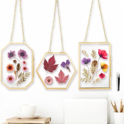 3 Pcs Pressed Flower Frame with Hanging Chain