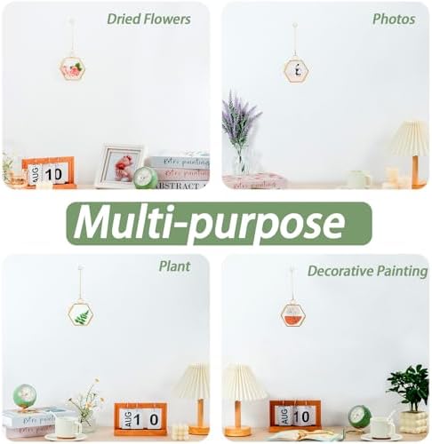 Mini Glass Floating Frame for Dried Flowers Gold Metal Wall Hanging Frame
