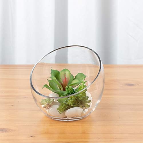 WGVI Clear Slant Cut Glass Vase 7 x 6 x 27 x 4