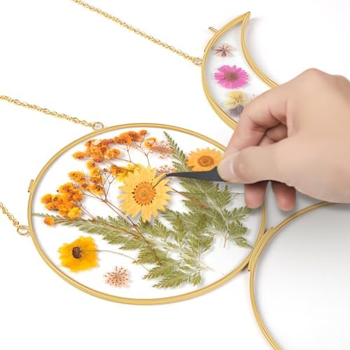 Double Glass Frame for Pressed Flowers with Real Dried Flowers and Tweezer