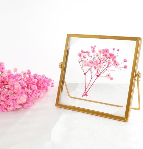 Fumwase Gold Floating Picture Frame 6x6 Inch