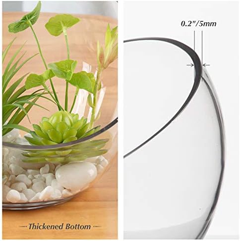 WGVI Clear Slant Cut Glass Vase 7 x 6 x 27 x 4