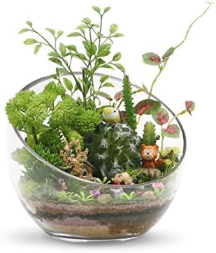 WGVI Clear Slant Cut Glass Vase 7 x 6 x 27 x 4
