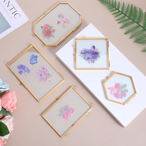 5 Pcs Double Glass Frame for Pressed Flowers with Gold Chain