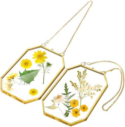 AVLA 3 Pack Pressed Flowers Glass Frames