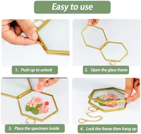Mini Glass Floating Frame for Dried Flowers Gold Metal Wall Hanging Frame