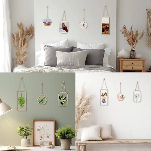 Mini Glass Floating Frame for Dried Flowers Gold Metal Wall Hanging Frame