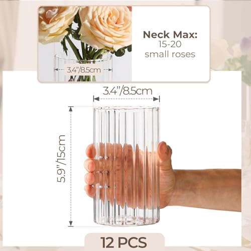 ComSaf Clear Ribbed Glass Vases Pack of 12