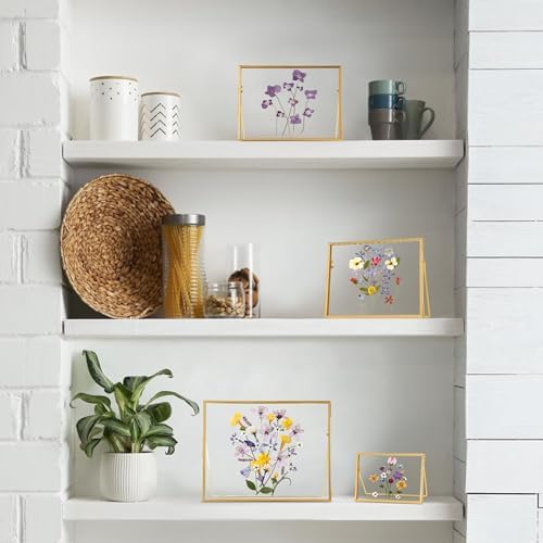 Glass Pressed Flower Frame Handmade with Brass Edges