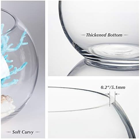 WGVI Glass Vase 8 Inch Clear Bubble Fish Bowl Terrarium
