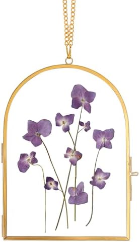 Redhugo Glass Pressed Flower Frame Wall Hanging
