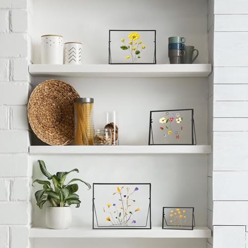 Handmade Brass Glass Frame for Dried Flowers and Photos