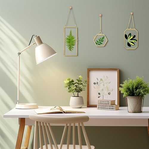 Mini Glass Floating Frame for Dried Flowers Gold Metal Wall Hanging Frame