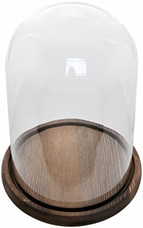 Bell Jar Glass Cloche with Rustic Wood Base 10 Inch Tall