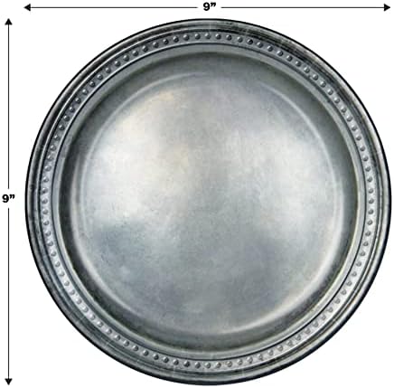 Beistle Pewter Paper Plates 24-Pack 9 Inch