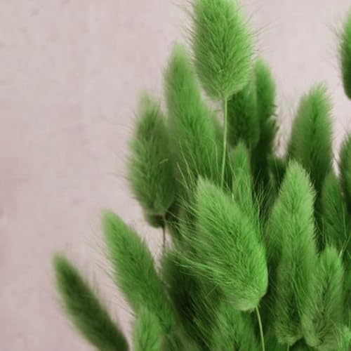 COSOKUU 100pcs Dried Bunny Tails Grass Decor
