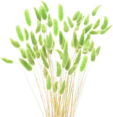 60-Pack Artificial Rabbit Tail Grass Dried Flowers 17 Inch Green