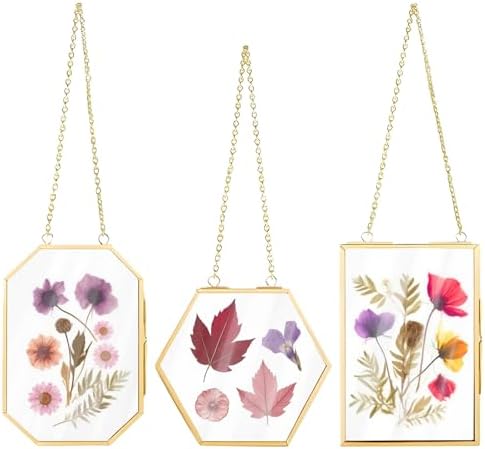 3 Pcs Pressed Flower Frame with Hanging Chain
