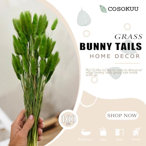 COSOKUU 100pcs Dried Bunny Tails Grass Decor