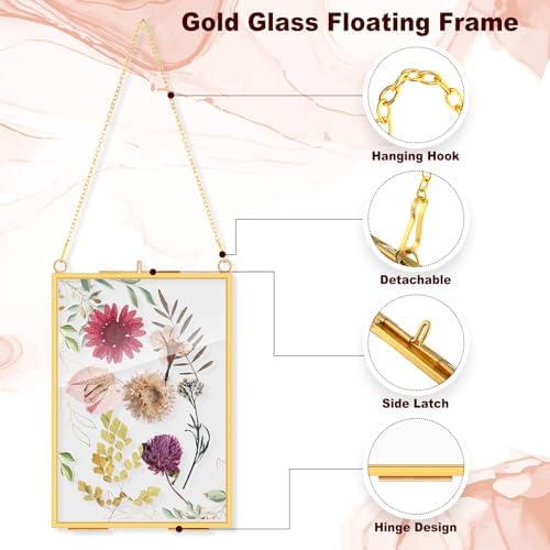 Barydat 12 Pack Pressed Flowers Glass Frames Gold Brass Hanging Display