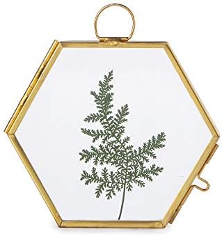 NCYP Mini Glass Floating Frame for Dried Flowers and Photos