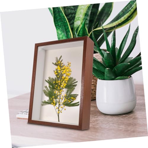 Wooden Dried Flower Display Frame with Transparent Window