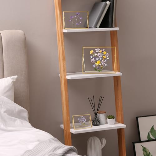 Glass Pressed Flower Frame Handmade with Brass Edges