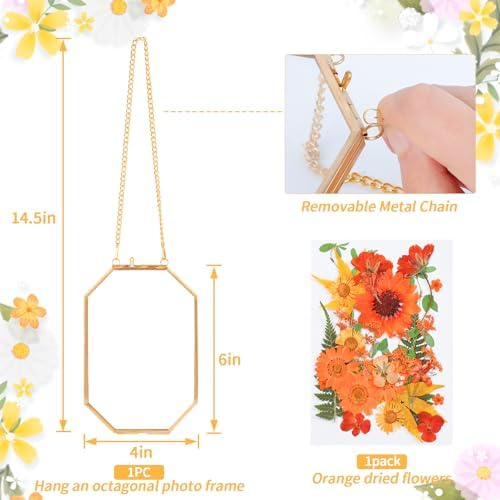 Hanging Pressed Flower Frame with Gold Brass Frame and Orange Dried Flowers