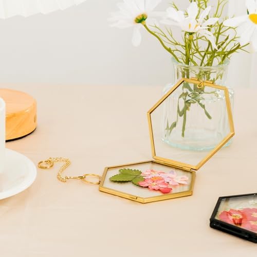 Mini Glass Floating Frame for Dried Flowers Gold Metal Wall Hanging Frame