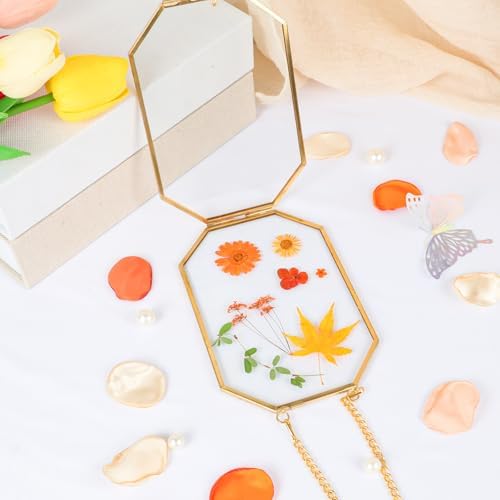 Hanging Pressed Flower Frame with Gold Brass Frame and Orange Dried Flowers