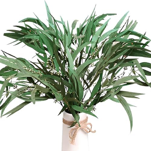 30 Pcs Natural Dried Seeded Eucalyptus Stems for Decor