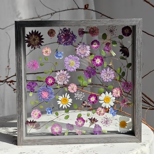 Pressed Flower Frame 85x85 Inch Handcrafted Wooden Double Glass with Real Wildflowers Purple