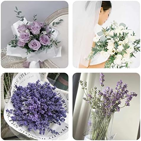 Dried Eucalyptus and Lavender Bundle for Bathroom Decor