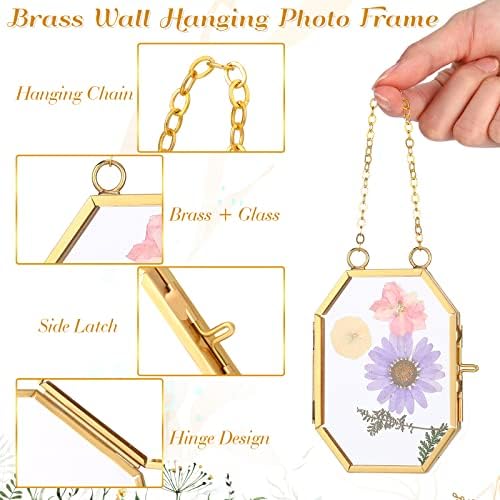 Marsui 6-Pack Double Glass Frame for Pressed Flowers