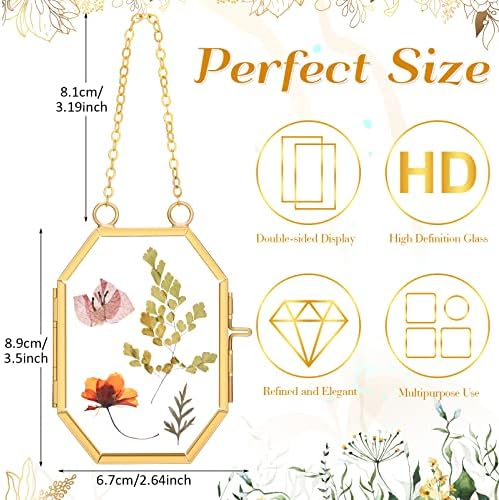 Marsui 6-Pack Double Glass Frame for Pressed Flowers