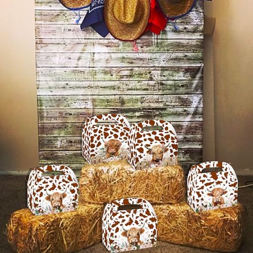 JeVenis 12 Piece Highland Cow Party Favor Set