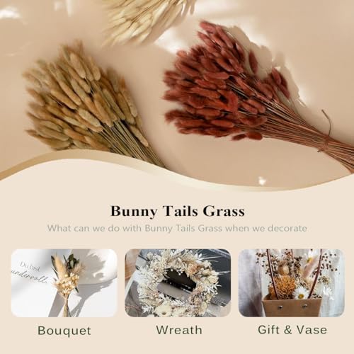 COSOKUU 100pcs Dried Bunny Tails Grass Decor