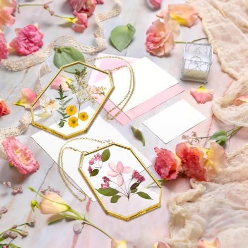 AVLA 3 Pack Pressed Flowers Glass Frames