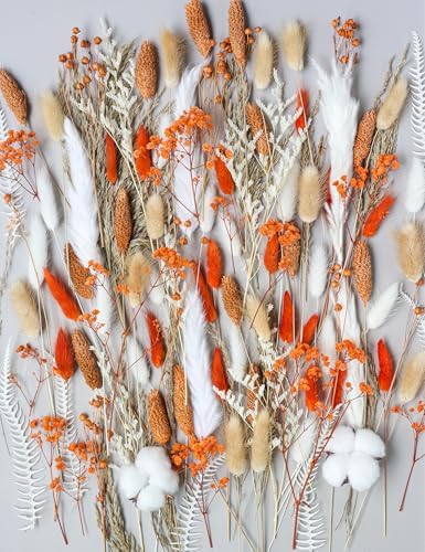 DIY Orange Dried Flower Set for Wreaths and Decor
