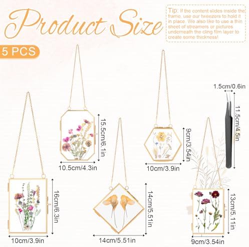 5 Pcs Double Glass Frame for Pressed Flowers with Gold Chain