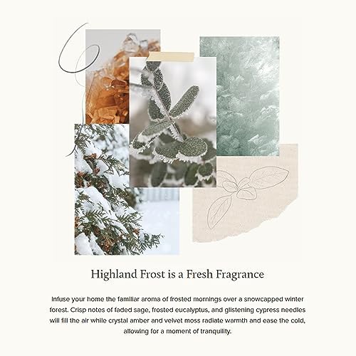 Thymes Travel Tin Holiday Candles - Highland Frost 25 oz