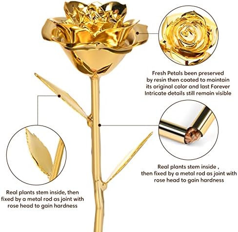 Gold Dipped Rose 24K Gold Artificial Flower Gift for Women